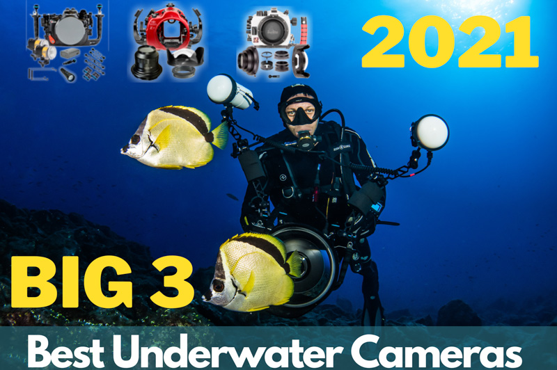 The "Big 3" Best Underwater Cameras - Underwater Photography Guide